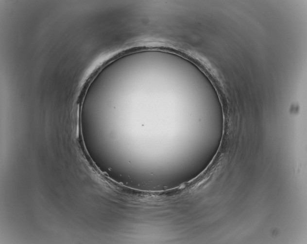 X0000094431175200711291526