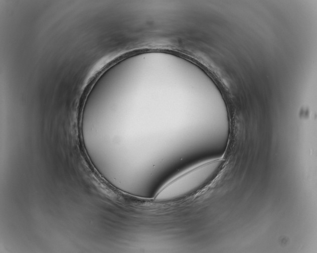 X0000094431176200711291526