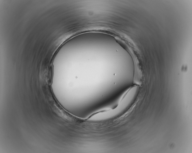 X0000094431177200711291526