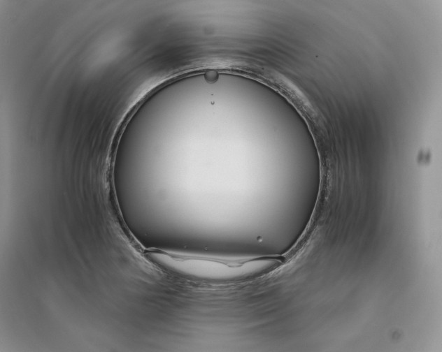 X0000094431178200711291526