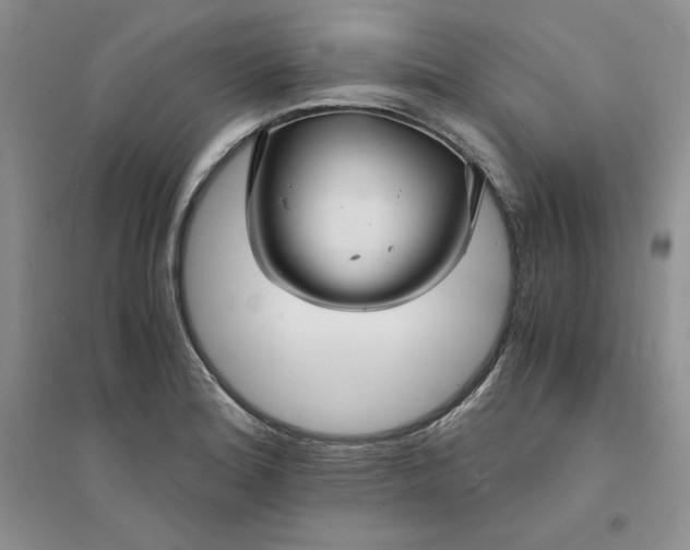 X0000094431180200711291526