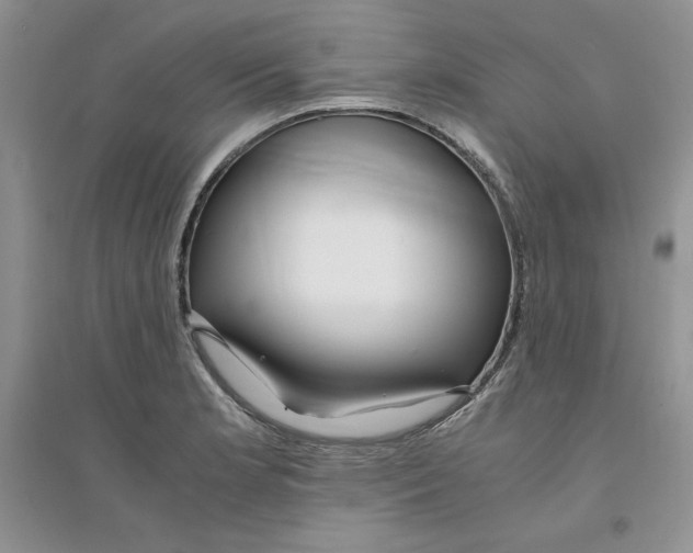 X0000094431181200711291526