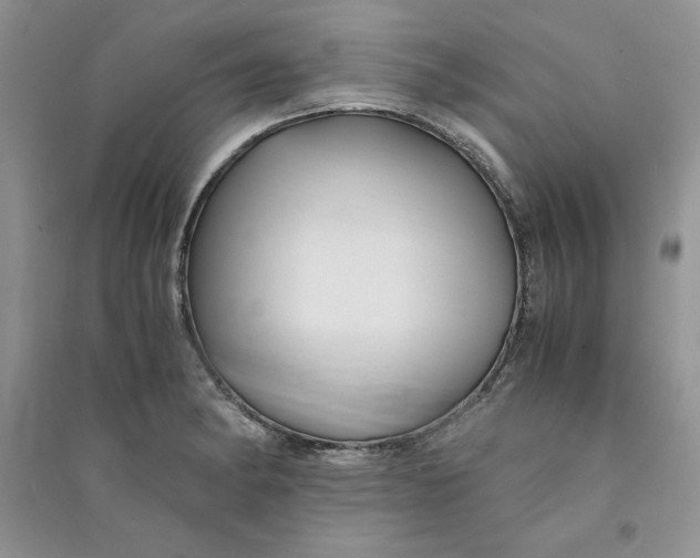 X0000094431182200711291526