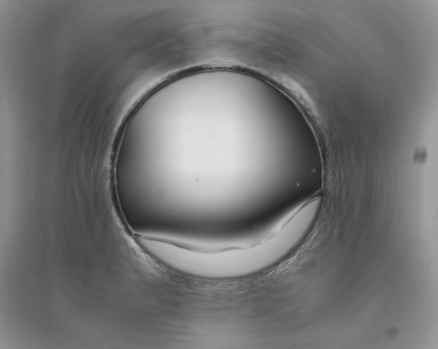 X0000094431183200711291526