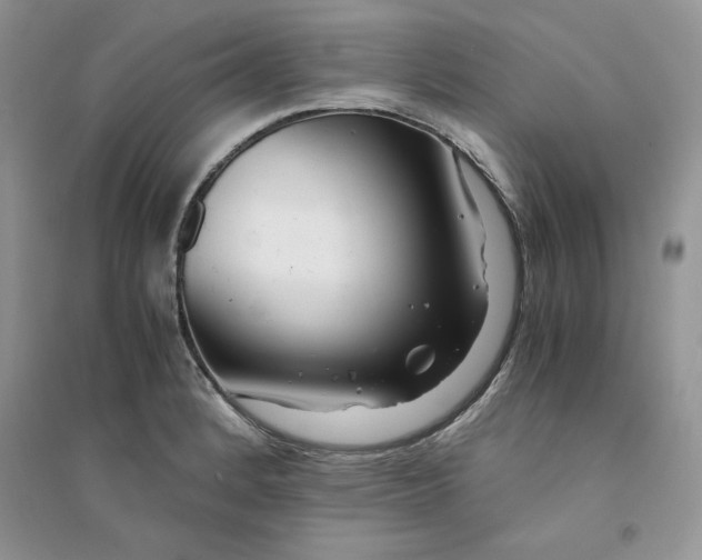 X0000094431184200711291526