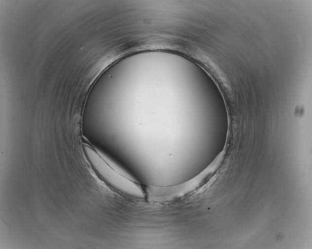 X0000094431185200711291526