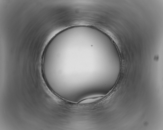 X0000094431187200711291526