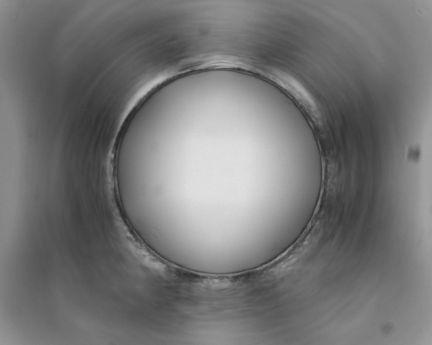 X0000094431190200711291526