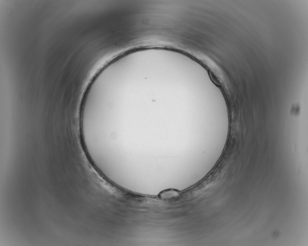 X0000094431191200711291526