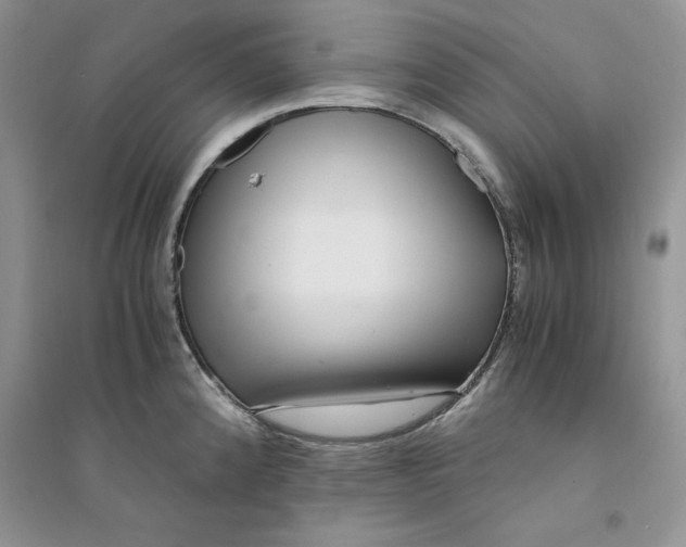 X0000094431192200711291526