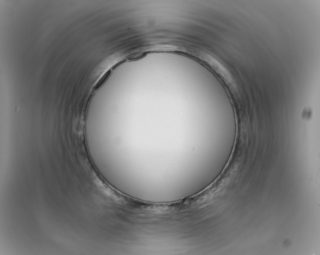 X0000094431193200711291526