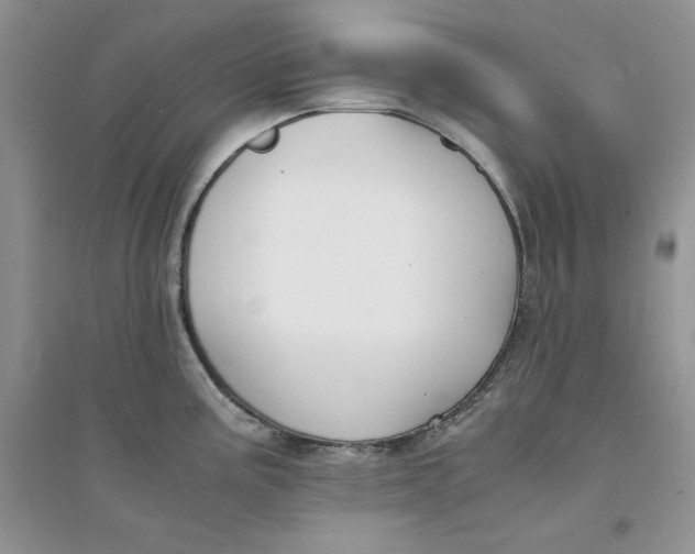 X0000094431195200711291526