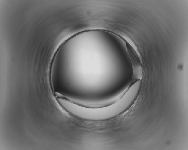 X0000094431197200711291526