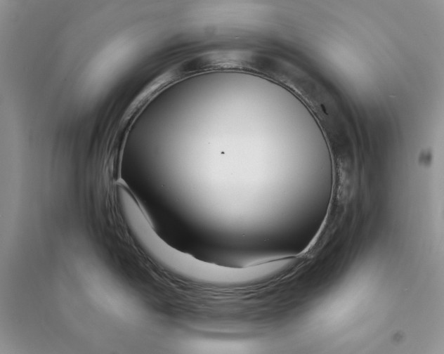 X0000094431198200711291526