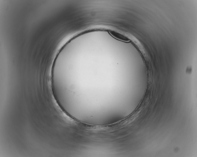 X0000094431199200711291526