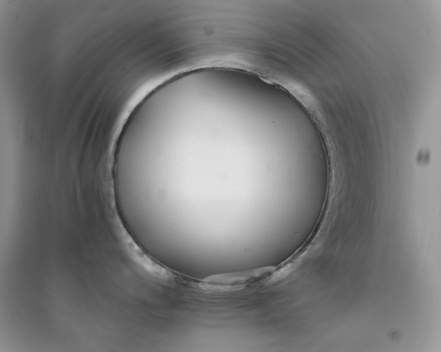 X0000094431200200711291526