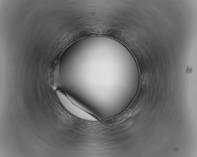 X0000094431202200711291525