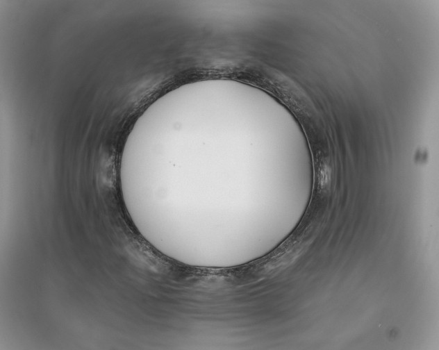 X0000094431204200711291525