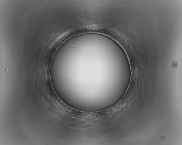 X0000094431205200711291525