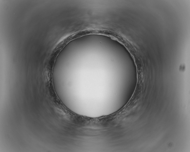 X0000094431206200711291525