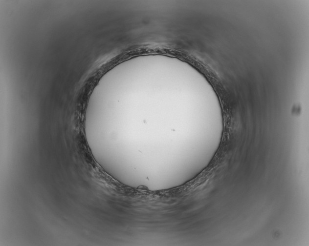 X0000094431207200711291525