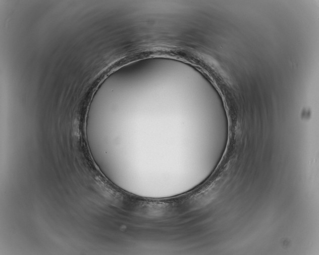 X0000094431209200711291525