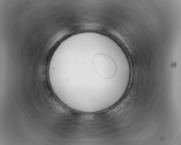 X0000094431211200711291525