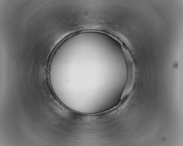 X0000094431212200711291525