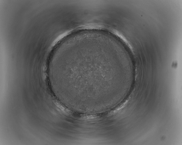 X0000094431213200711291525