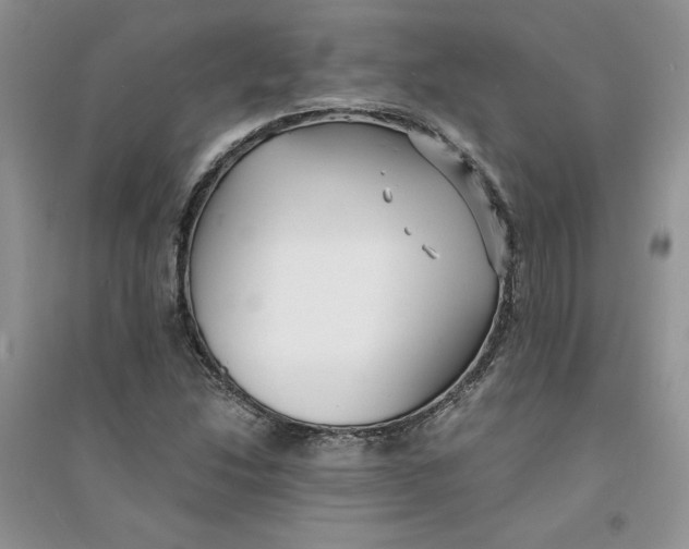 X0000094431214200711291525