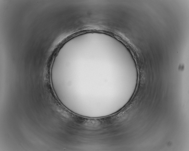 X0000094431215200711291525