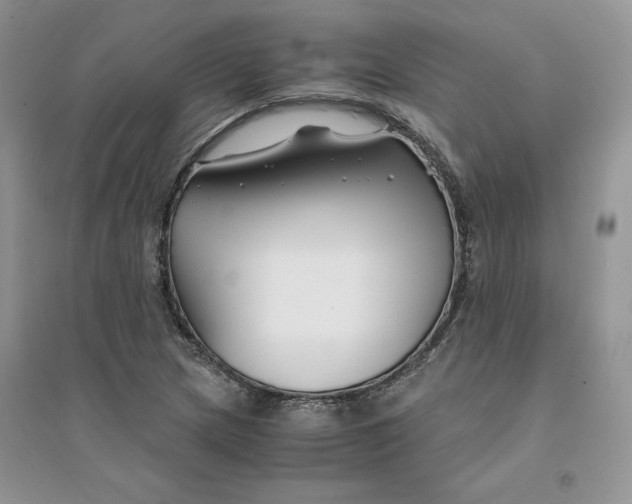 X0000094431217200711291525