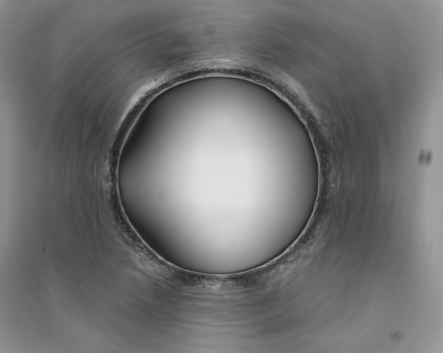 X0000094431218200711291525