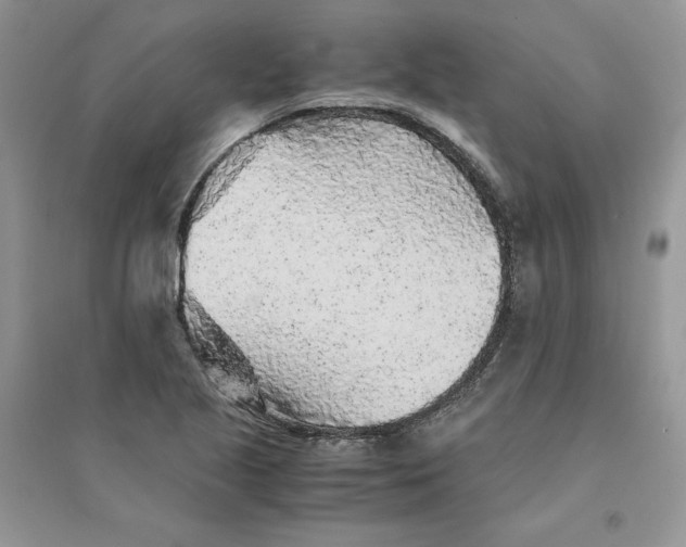 X0000094431221200711291525