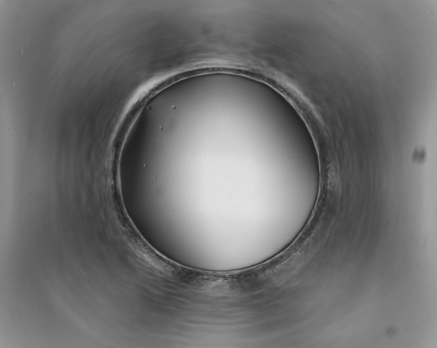 X0000094431222200711291525