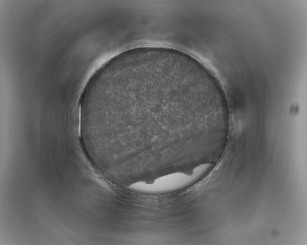 X0000094431223200711291525