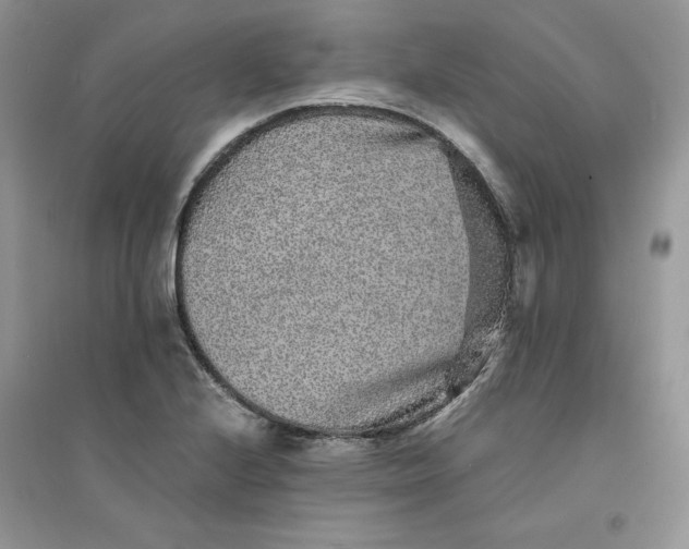 X0000094431224200711291525