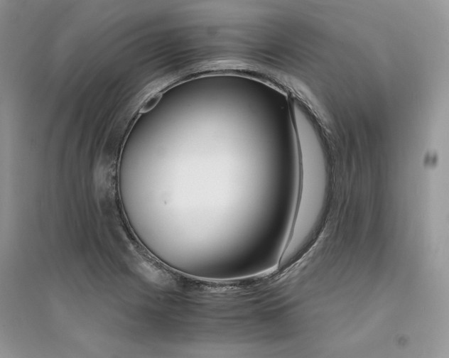 X0000094431225200711291525