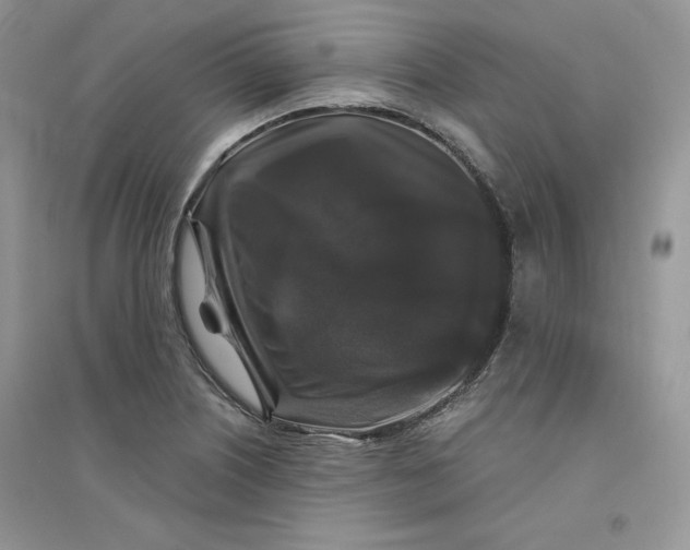 X0000094431226200711291525