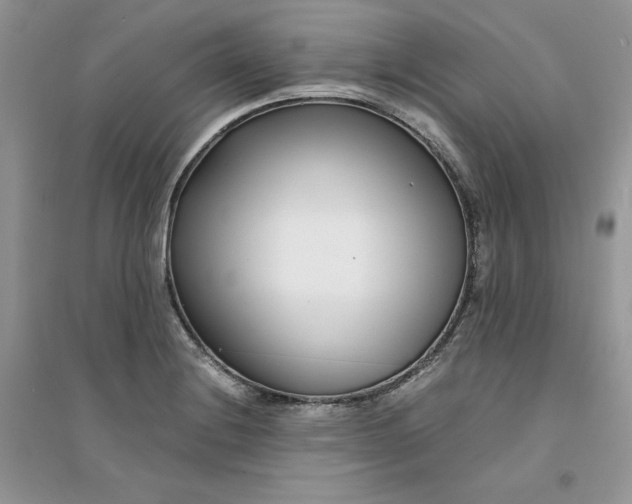 X0000094431228200711291525