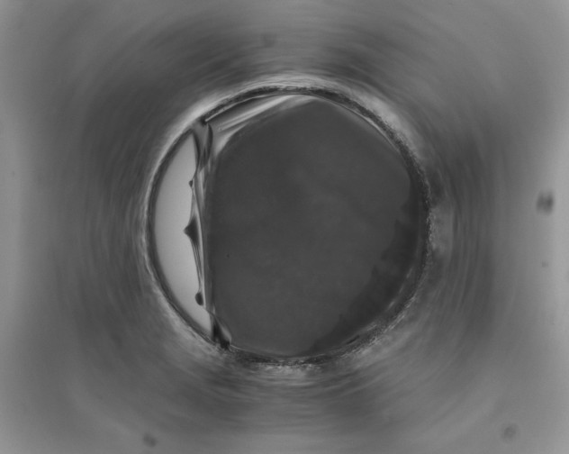 X0000094431229200711291525