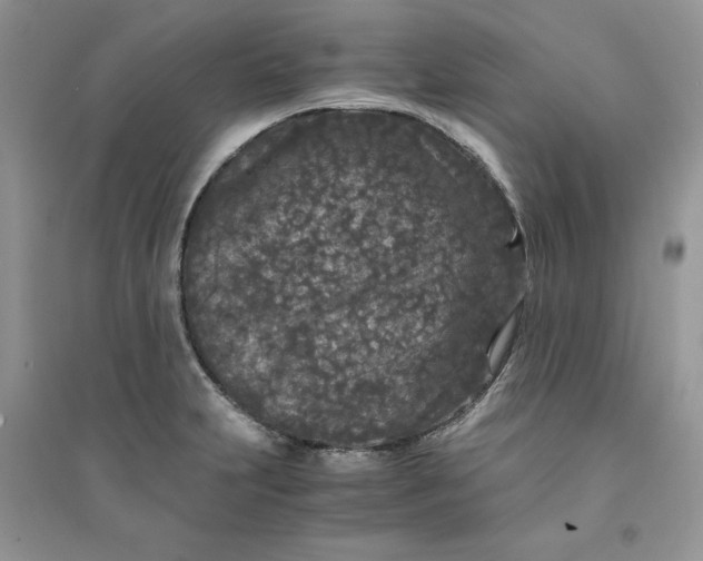 X0000094431231200711291525