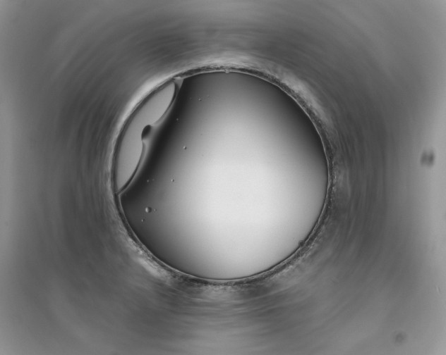 X0000094431232200711291525