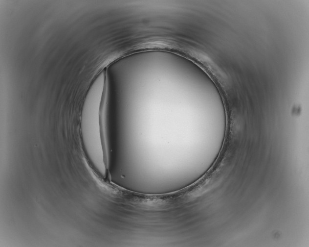 X0000094431233200711291525