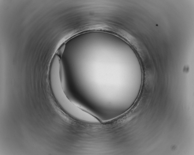 X0000094431234200711291525