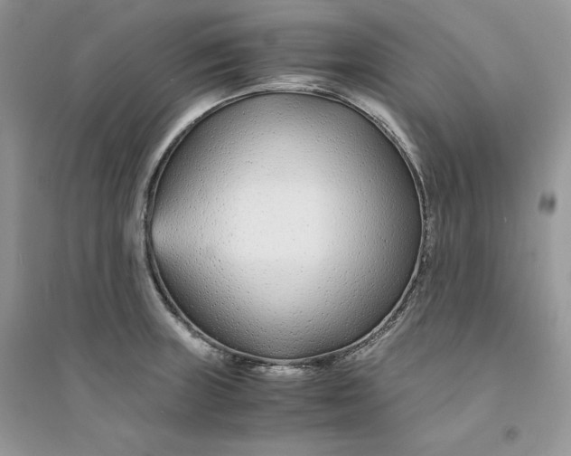 X0000094431235200711291525