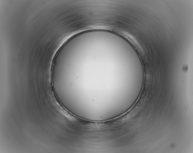 X0000094431236200711291525