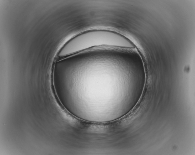 X0000094431237200711291525