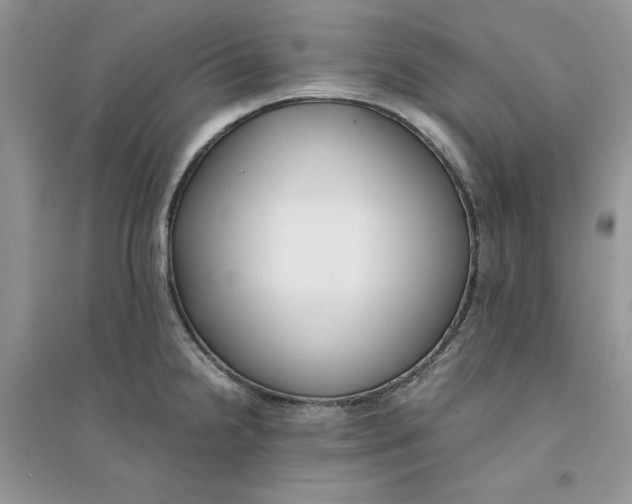 X0000094431238200711291525