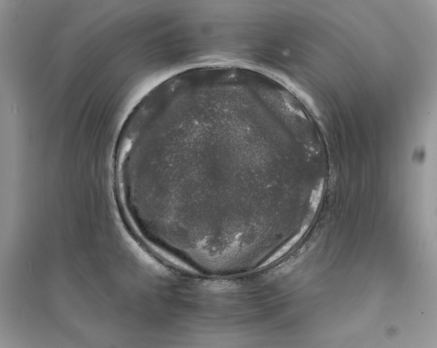 X0000094431239200711291526